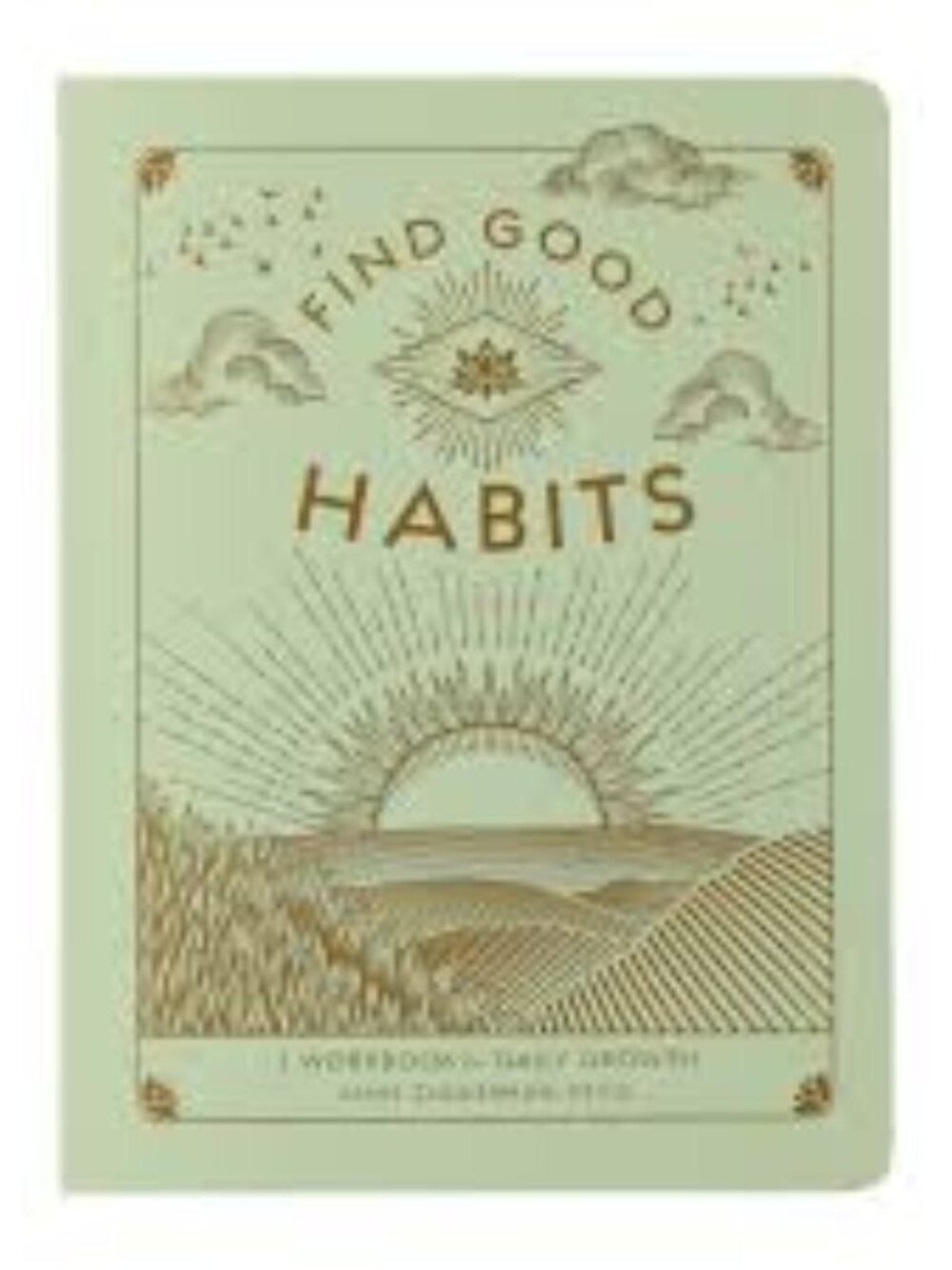 Find Good Habits Workbook Paperback